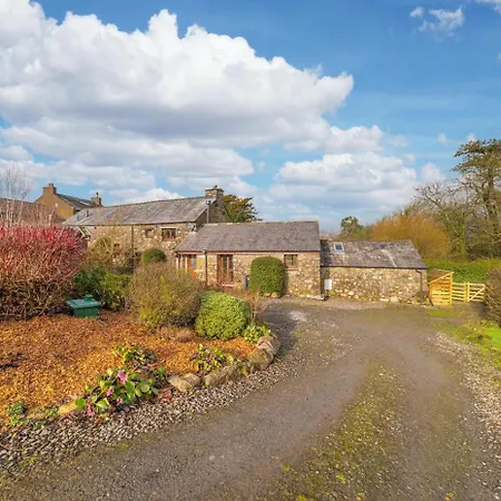 Damson - * Waberthwaite